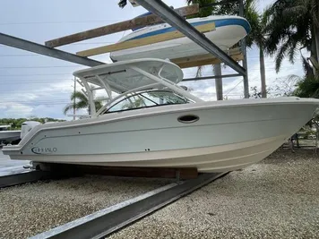 2020 Robalo R317