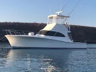 2017 Viking Billfish