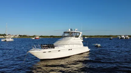 2002 Sea Ray 480 Sedan Bridge