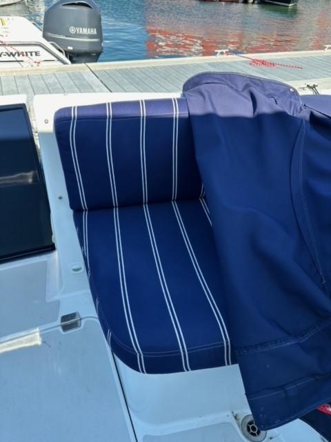 Aft Dock Seat Cushions and Cover
