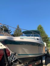 1995 Sea Ray Sundancer