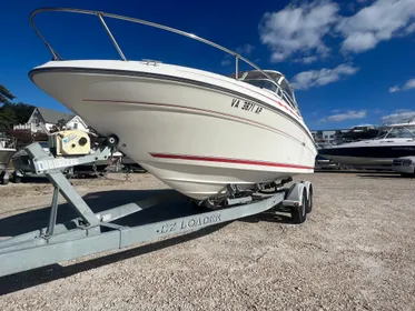 1996 Sea Ray 215 Express Cruiser