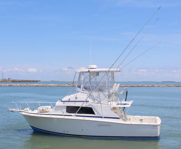 Used 1980 Bertram Sport Fisherman, 78373 Port Aransas - Boat Trader