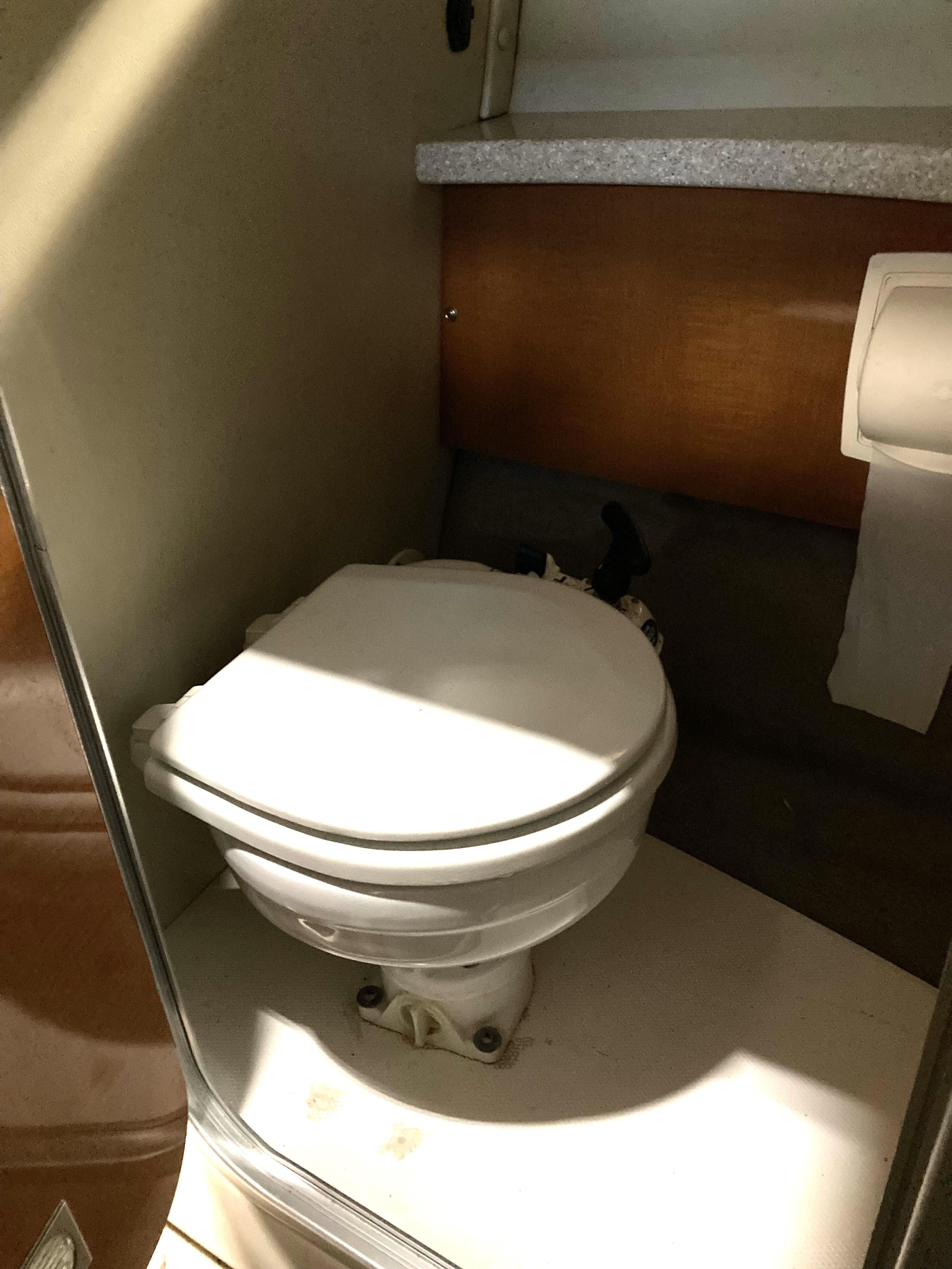 manual toilet with holding tank
