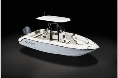 2024 Robalo Center Console R222