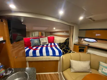 2007 Chaparral Signature 310