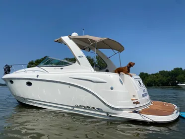 2007 Chaparral Signature 310