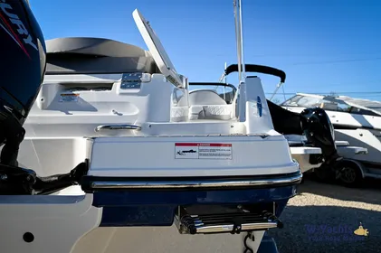 2024 Bayliner VR6