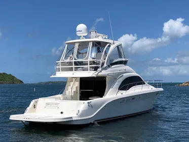 2009 Sea Ray 520 Sedan Bridge