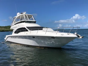 2009 Sea Ray 520 Sedan Bridge