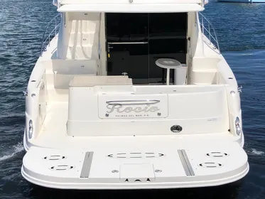 2009 Sea Ray 520 Sedan Bridge