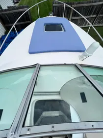 2003 Rinker Fiesta Vee 250