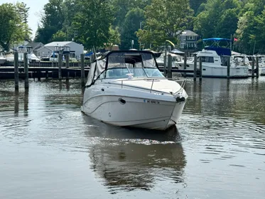 2003 Rinker Fiesta Vee 250