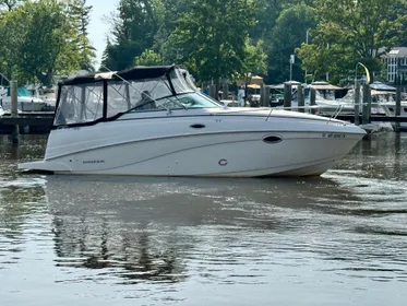 2003 Rinker Fiesta Vee 250