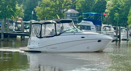 2003 Rinker Fiesta Vee 250