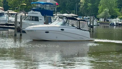 2003 Rinker Fiesta Vee 250