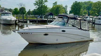 2003 Rinker Fiesta Vee 250