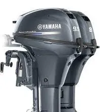 2024 Yamaha Outboards T9.9LWHB