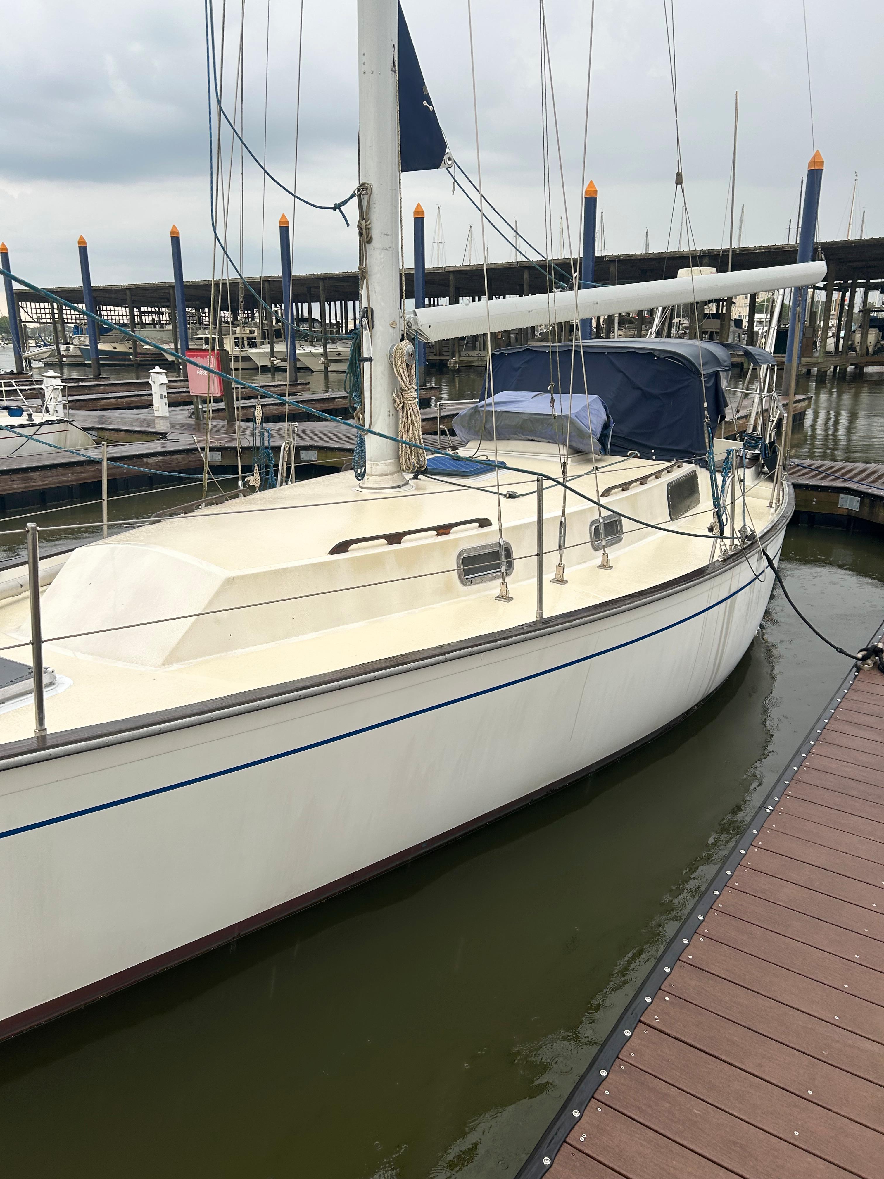 Used 1981 Morgan 382 Morgan, 77573 League City - Boat Trader