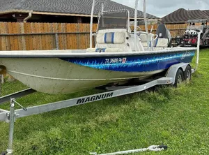 2006 Blue Wave Deluxe Pro 2200