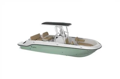 2024 Bayliner T22CC