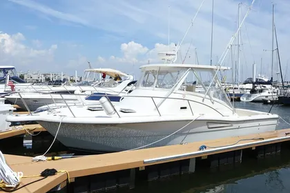 1996 Pursuit 3000 Offshore for sale in Bronx, NY