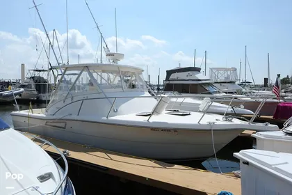 1996 Pursuit 3000 Offshore for sale in Bronx, NY