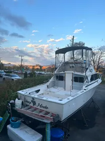 1972 Bertram 28 ft flybridge sport fish