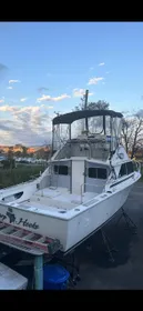 1972 Bertram 28 ft flybridge sport fish