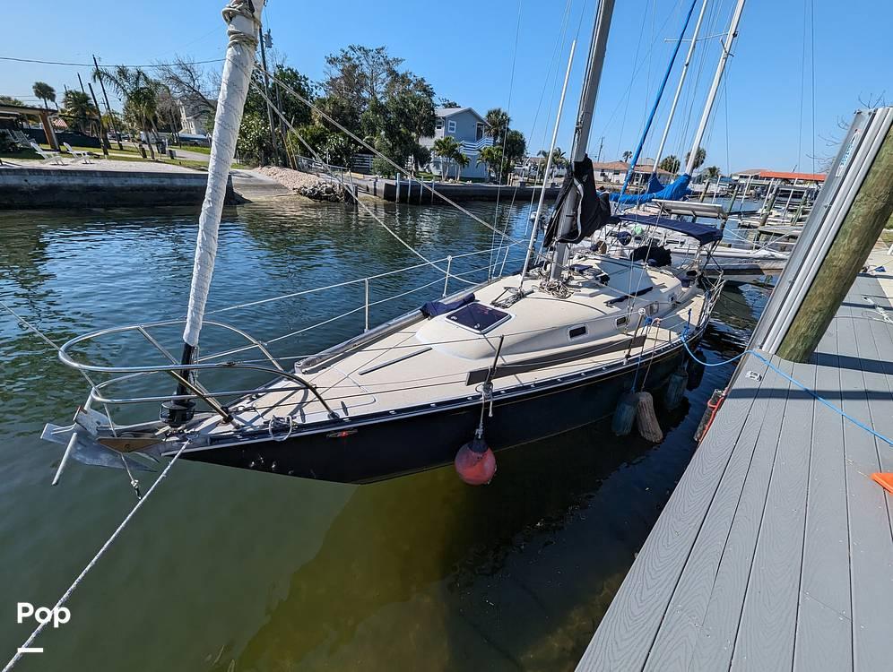 1978 C & C 36-1 for sale in Port Richey, FL