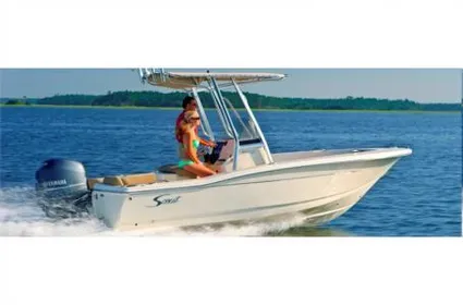 2024 Scout 195 Sportfish