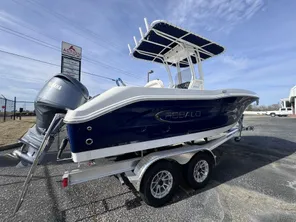 2024 Robalo R202EX