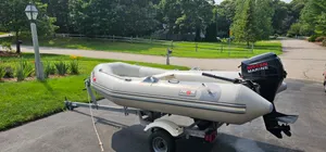 2006 Avon Rib 310