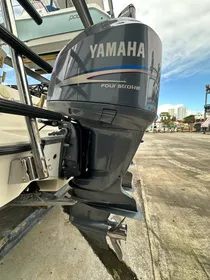 2007 Hydra-Sports 33 center console