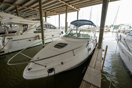 2008 Sea Ray 240 Sundancer