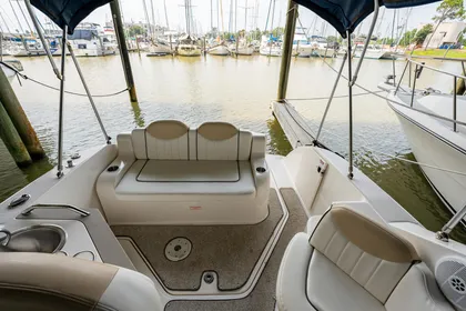 2008 Sea Ray 240 Sundancer