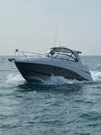 2018 Rinker EX 320