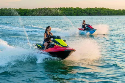 2024 Waverunner EX DELUXE