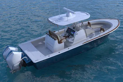 2025 Valhalla Boatworks 29 Hybrid