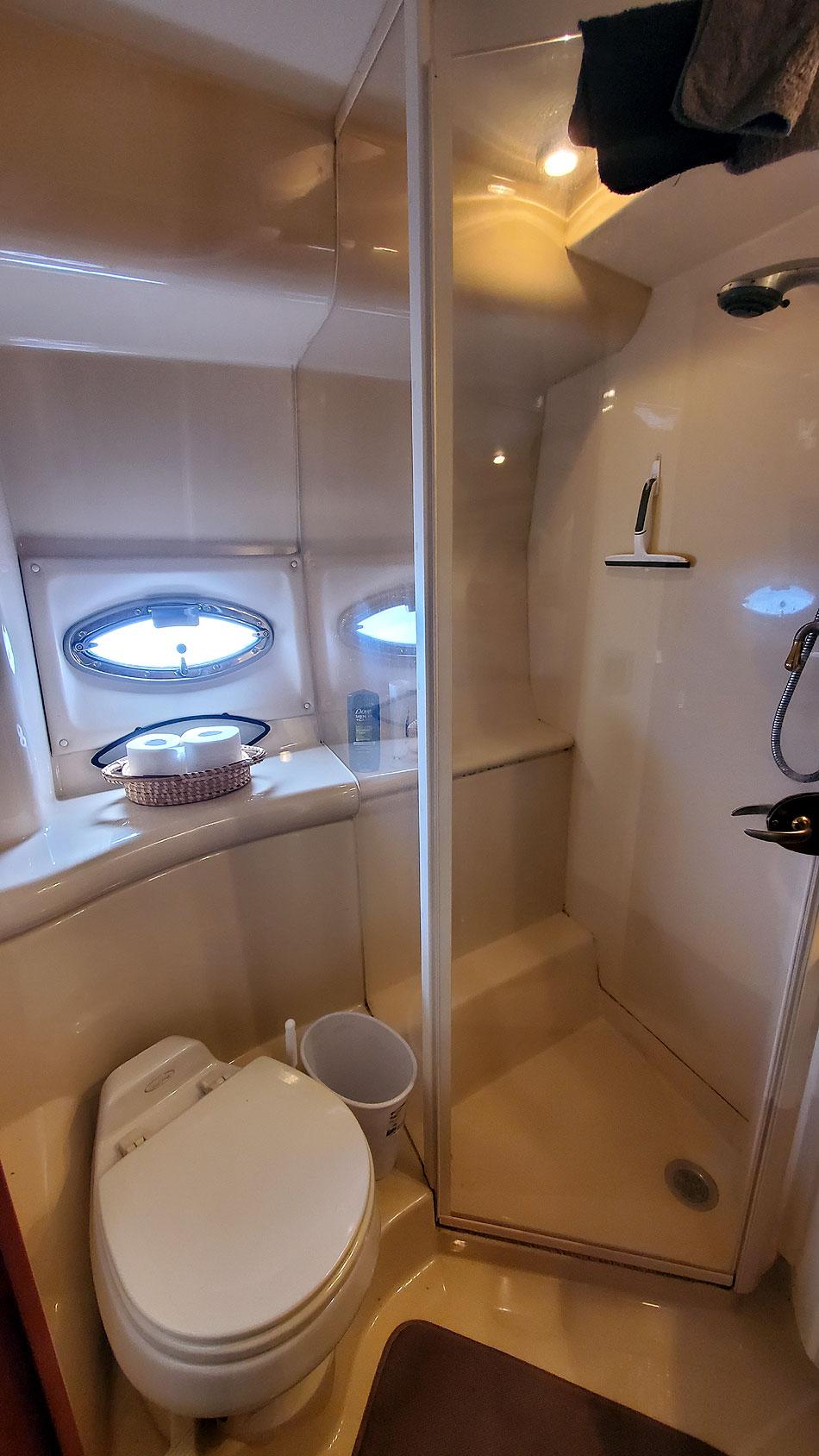 Guest Head Shower and Toilet