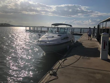 1990 Sea Ray Sundancer 230