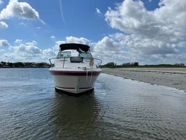 1990 Sea Ray Sundancer 230