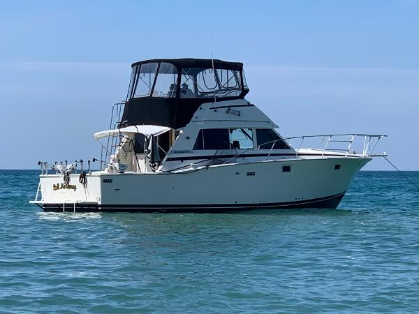 1980 Bertram Convertible Boat For Sale - Waa2