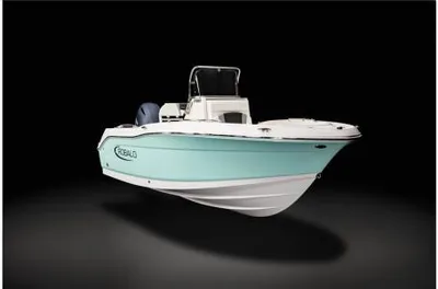 2024 Robalo R180