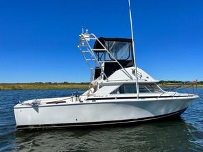 1973 Bertram 28 Flybridge CRUISER