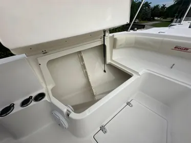 1999 Boston Whaler 260 Outrage