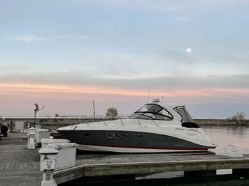 2019 Rinker 370 EX