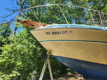 1981 Sea Ray Sundance 260