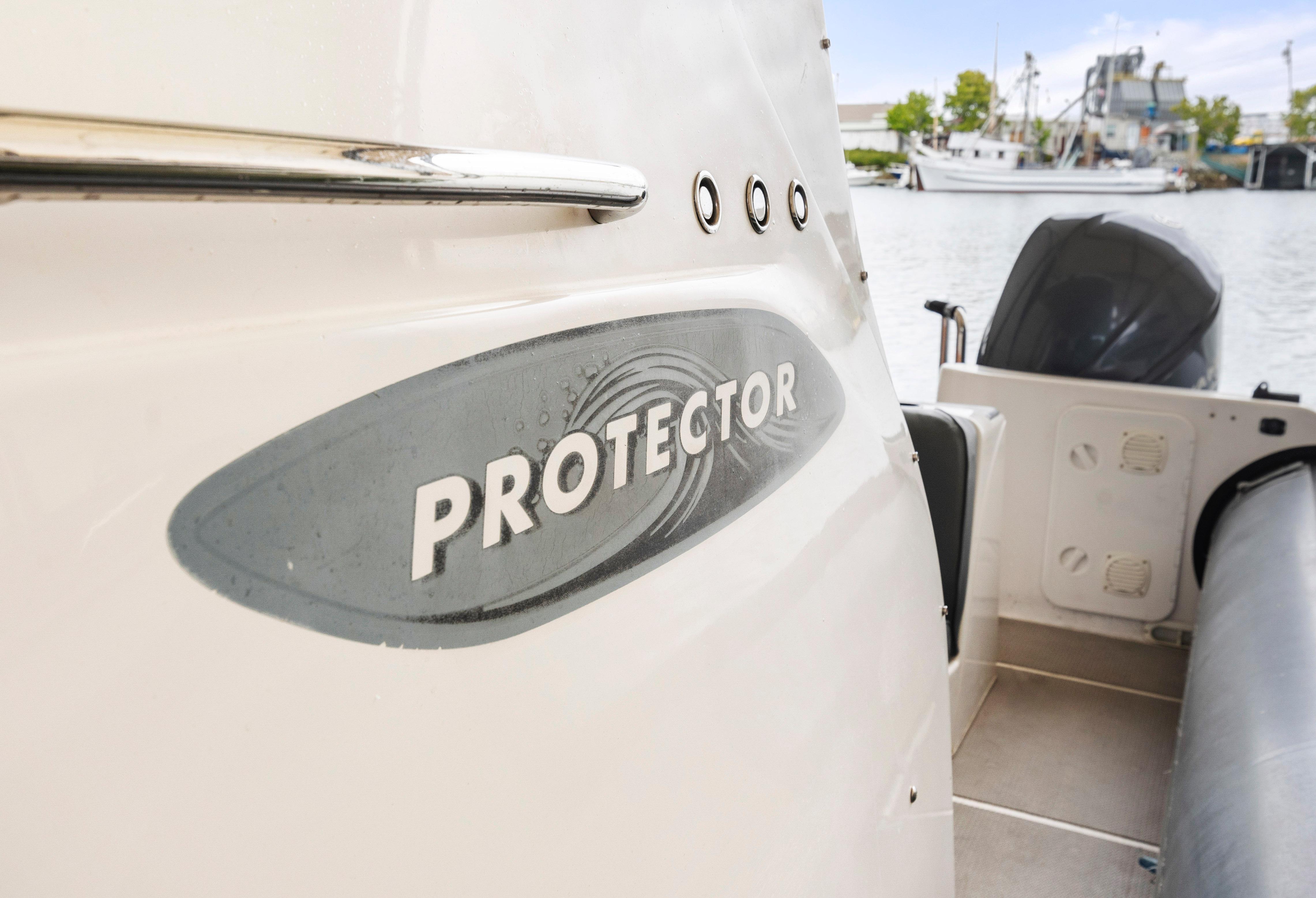 2008 Protector 38