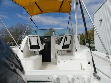 2004 Wellcraft 24 Walkaround